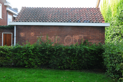 836390 Afbeelding van de nog vaag leesbare leus Time Out op een schuur bij een huis aan de Linnaeuslaan (zijde Louise ...